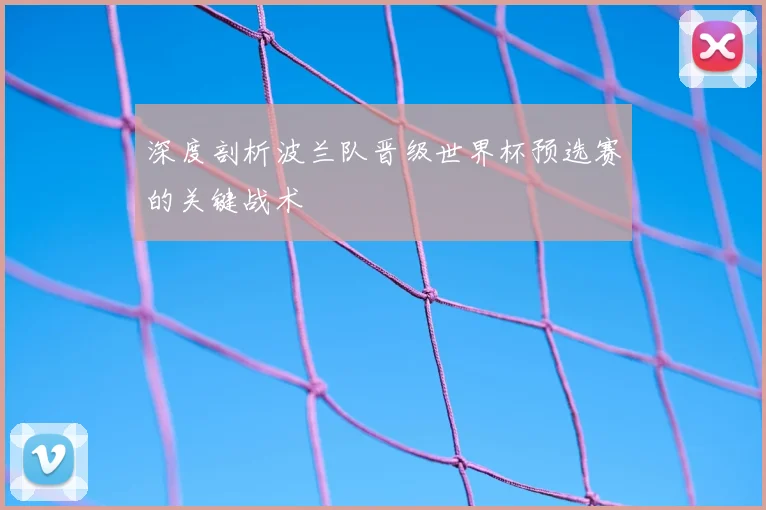 深度剖析波兰队晋级世界杯预选赛的关键战术