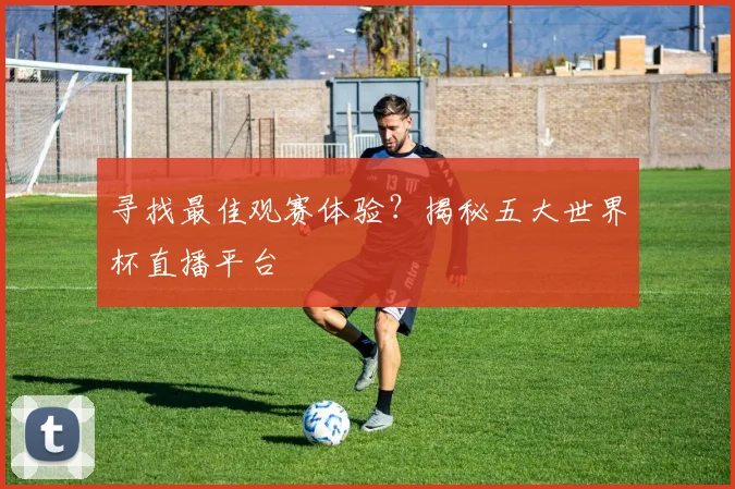 寻找最佳观赛体验？揭秘五大世界杯直播平台