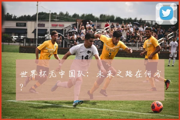 世界杯无中国队：未来之路在何方？