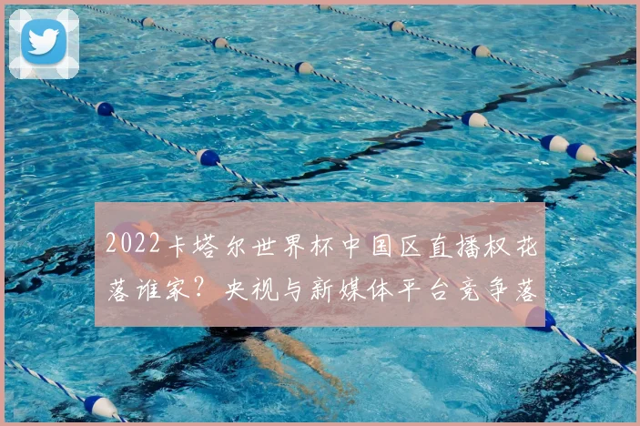 2022卡塔尔世界杯中国区直播权花落谁家？央视与新媒体平台竞争落幕