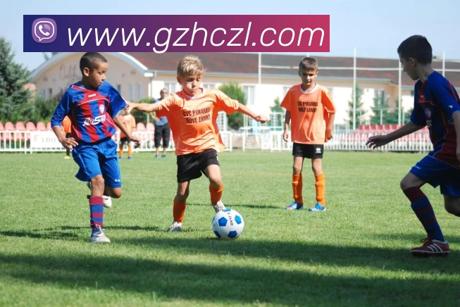 emc体育地址APP 封面图